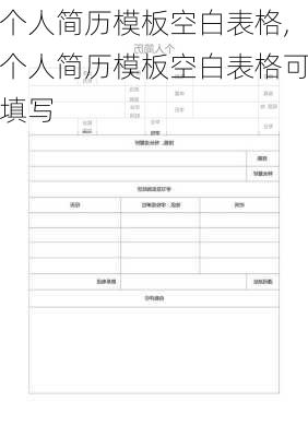 个人简历模板空白表格,个人简历模板空白表格可填写-第2张图片-安安范文网