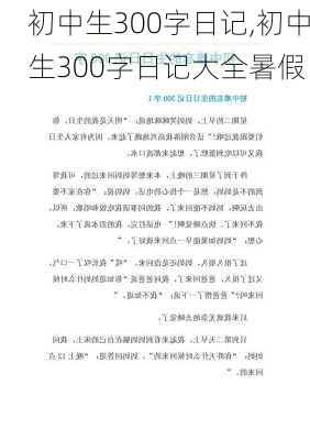 初中生300字日记,初中生300字日记大全暑假-第3张图片-安安范文网