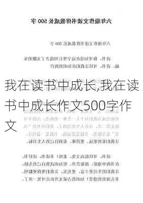 我在读书中成长,我在读书中成长作文500字作文-第3张图片-安安范文网