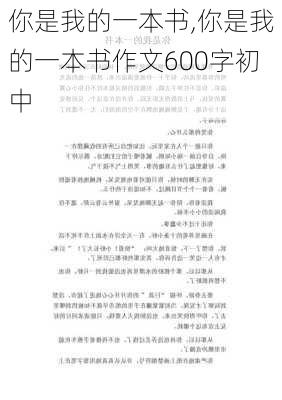 你是我的一本书,你是我的一本书作文600字初中-第2张图片-安安范文网