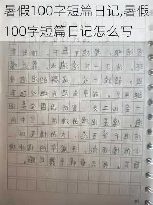 暑假100字短篇日记,暑假100字短篇日记怎么写-第3张图片-安安范文网