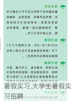 暑假实习,大学生暑假实习招聘-第3张图片-安安范文网