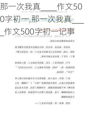 那一次我真____作文500字初一,那一次我真____作文500字初一记事-第2张图片-安安范文网