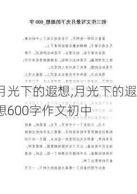 月光下的遐想,月光下的遐想600字作文初中-第2张图片-安安范文网