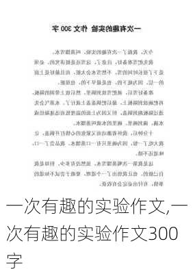 一次有趣的实验作文,一次有趣的实验作文300字-第1张图片-安安范文网