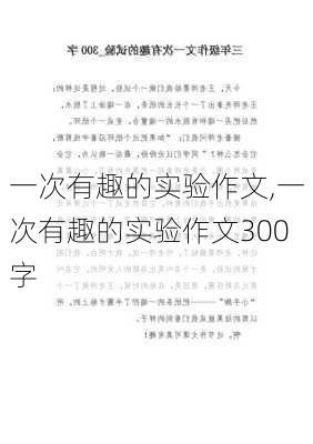 一次有趣的实验作文,一次有趣的实验作文300字-第3张图片-安安范文网