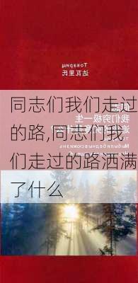 同志们我们走过的路,同志们我们走过的路洒满了什么-第2张图片-安安范文网