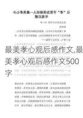 最美孝心观后感作文,最美孝心观后感作文500字-第3张图片-安安范文网