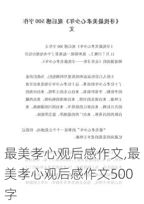 最美孝心观后感作文,最美孝心观后感作文500字-第2张图片-安安范文网