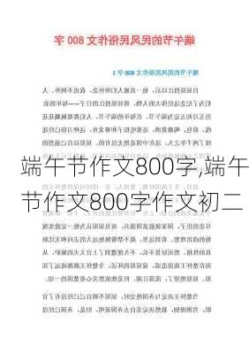 端午节作文800字,端午节作文800字作文初二