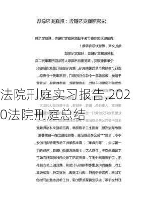 法院刑庭实习报告,2020法院刑庭总结-第1张图片-安安范文网