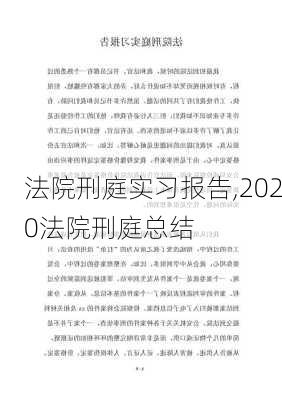 法院刑庭实习报告,2020法院刑庭总结-第2张图片-安安范文网