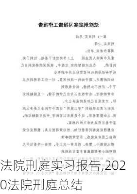 法院刑庭实习报告,2020法院刑庭总结-第3张图片-安安范文网