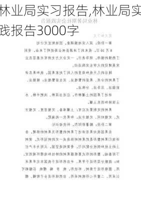 林业局实习报告,林业局实践报告3000字-第2张图片-安安范文网