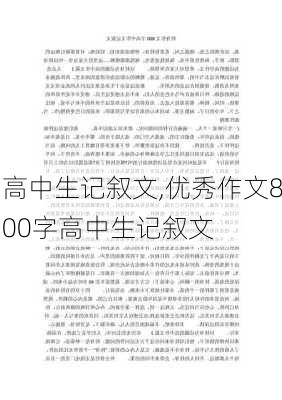 高中生记叙文,优秀作文800字高中生记叙文-第3张图片-安安范文网