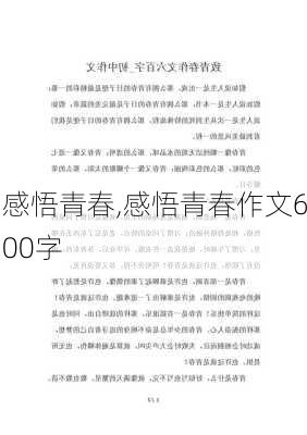 感悟青春,感悟青春作文600字-第2张图片-安安范文网