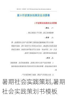 暑期社会实践策划,暑期社会实践策划书模板-第1张图片-安安范文网