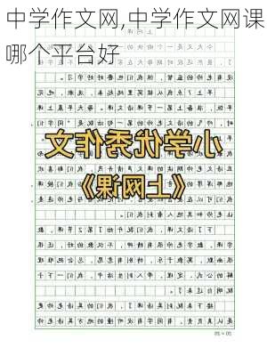 中学作文网,中学作文网课哪个平台好