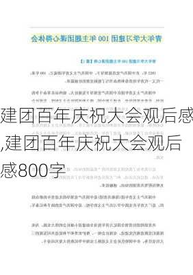 建团百年庆祝大会观后感,建团百年庆祝大会观后感800字-第2张图片-安安范文网