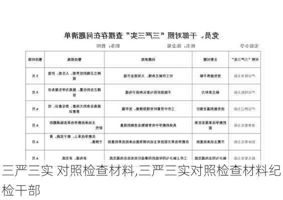 三严三实 对照检查材料,三严三实对照检查材料纪检干部-第3张图片-安安范文网