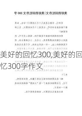 美好的回忆300,美好的回忆300字作文-第2张图片-安安范文网