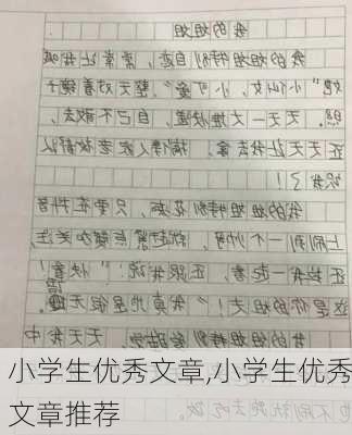 小学生优秀文章,小学生优秀文章推荐-第1张图片-安安范文网