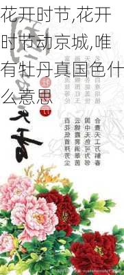 花开时节,花开时节动京城,唯有牡丹真国色什么意思-第1张图片-安安范文网