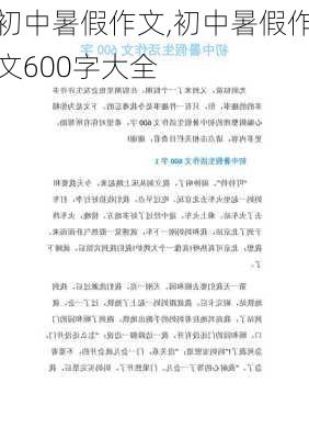 初中暑假作文,初中暑假作文600字大全-第3张图片-安安范文网