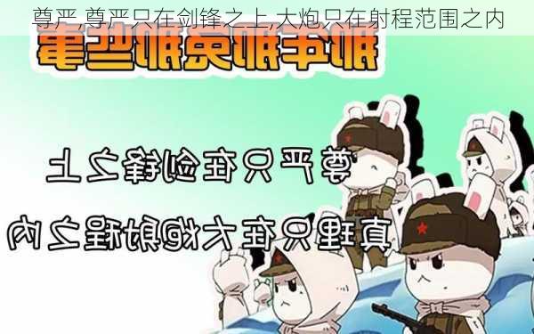 尊严,尊严只在剑锋之上,大炮只在射程范围之内-第3张图片-安安范文网