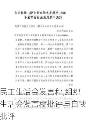 民主生活会发言稿,组织生活会发言稿批评与自我批评