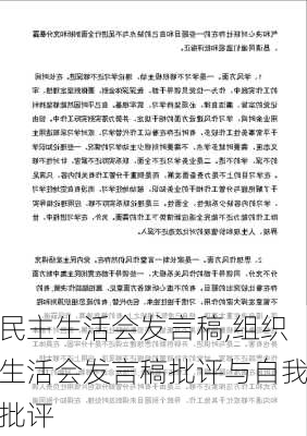 民主生活会发言稿,组织生活会发言稿批评与自我批评-第3张图片-安安范文网