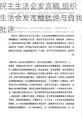 民主生活会发言稿,组织生活会发言稿批评与自我批评-第2张图片-安安范文网