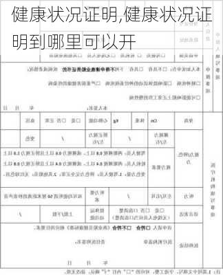 健康状况证明,健康状况证明到哪里可以开-第1张图片-安安范文网