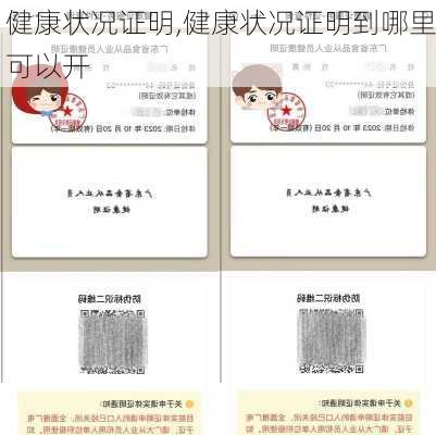 健康状况证明,健康状况证明到哪里可以开-第2张图片-安安范文网