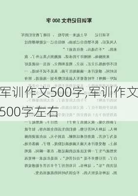 军训作文500字,军训作文500字左右-第3张图片-安安范文网