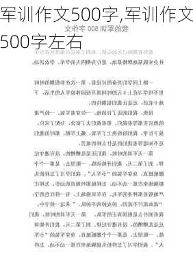 军训作文500字,军训作文500字左右-第2张图片-安安范文网