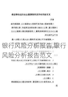 银行风险分析报告,银行风险分析报告范文-第3张图片-安安范文网