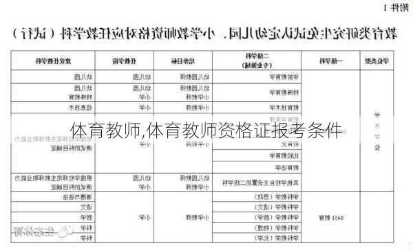 体育教师,体育教师资格证报考条件-第2张图片-安安范文网