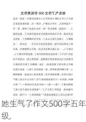 她生气了作文500字五年级,-第2张图片-安安范文网