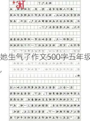 她生气了作文500字五年级,-第3张图片-安安范文网