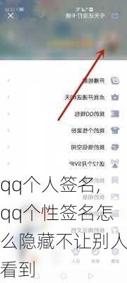 qq个人签名,qq个性签名怎么隐藏不让别人看到-第1张图片-安安范文网