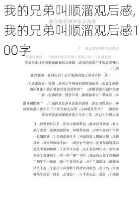 我的兄弟叫顺溜观后感,我的兄弟叫顺溜观后感100字-第3张图片-安安范文网