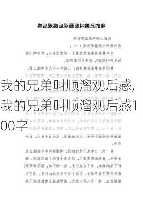 我的兄弟叫顺溜观后感,我的兄弟叫顺溜观后感100字-第2张图片-安安范文网