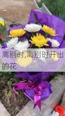 离别时,离别时开出的花