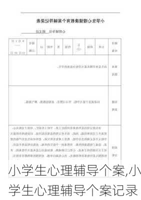 小学生心理辅导个案,小学生心理辅导个案记录-第2张图片-安安范文网