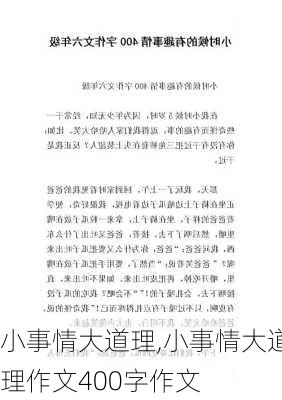 小事情大道理,小事情大道理作文400字作文-第2张图片-安安范文网