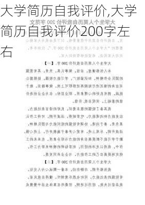 大学简历自我评价,大学简历自我评价200字左右-第1张图片-安安范文网