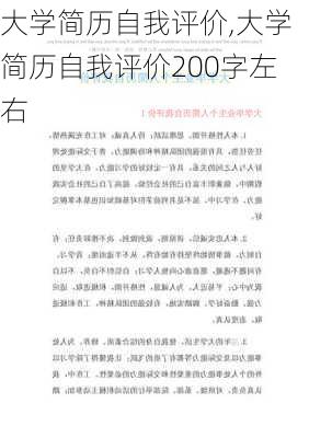 大学简历自我评价,大学简历自我评价200字左右-第2张图片-安安范文网