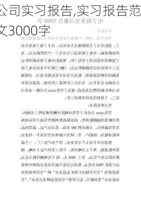 公司实习报告,实习报告范文3000字