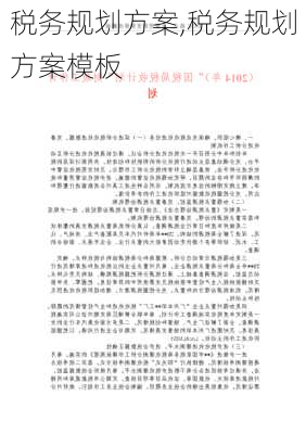 税务规划方案,税务规划方案模板-第1张图片-安安范文网